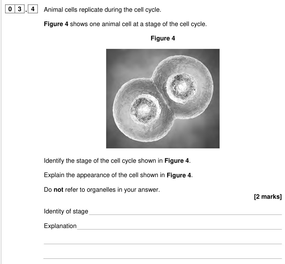 Question from 2024 As Paper 1 Q3.4 (2 marks)