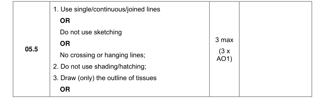 Mark scheme for 2024 As Paper 2 Q05.5 (3 marks)