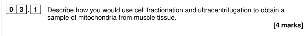 Question from 2024 As Paper 2 Q3.1 (4 marks)