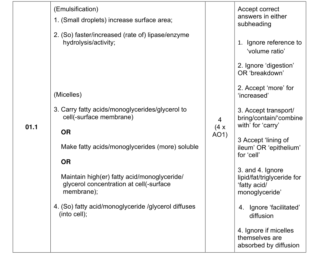 Mark scheme for 2025 A-Level Paper 1 Q1.1 (4 marks)