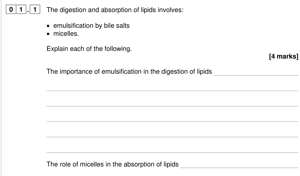 Question from 2025 A-Level Paper 1 Q1.1 (4 marks)