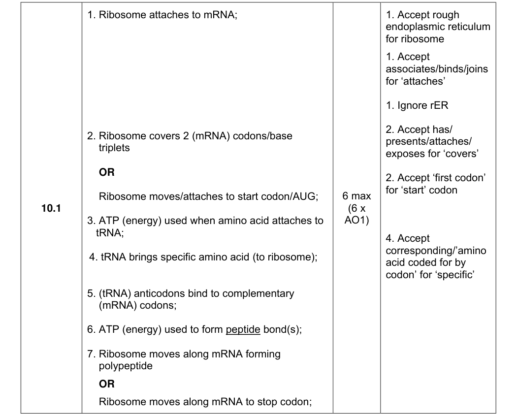 Mark scheme for 2025 A-Level Paper 1 Q10.1 (6 marks)