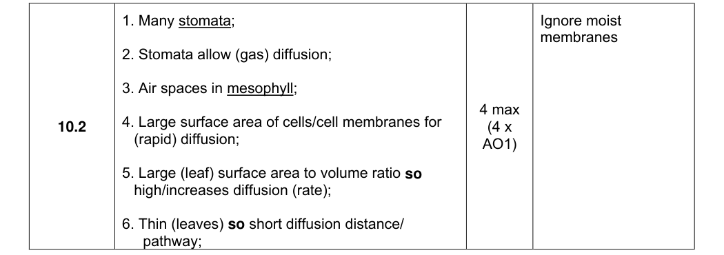 Mark scheme for 2025 A-level Paper 1 Q10.2 (4 marks)