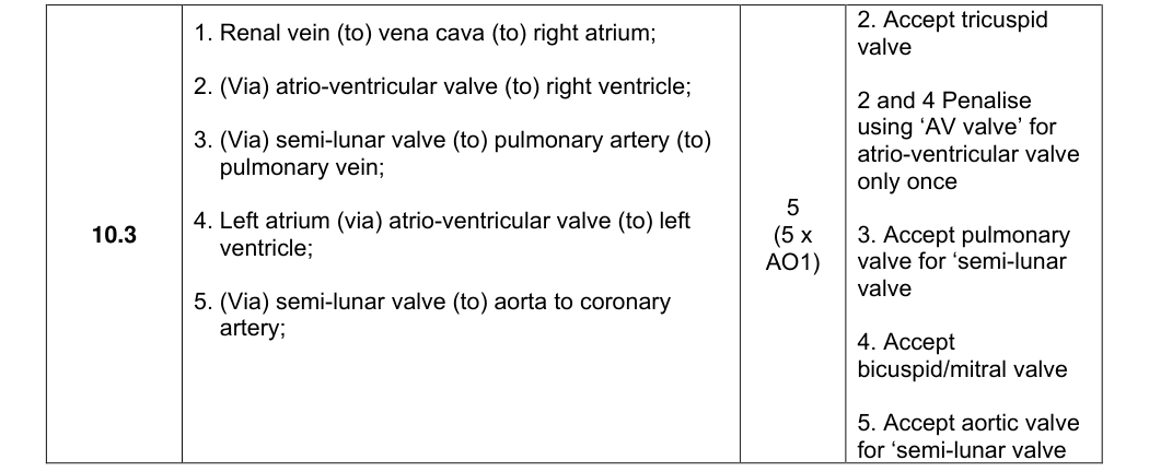 Mark scheme for 2025 A-Level Paper 1 Q10.3 (5 marks)