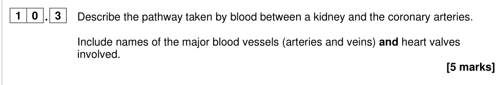 Question from 2025 A-Level Paper 1 Q10.3 (5 marks)