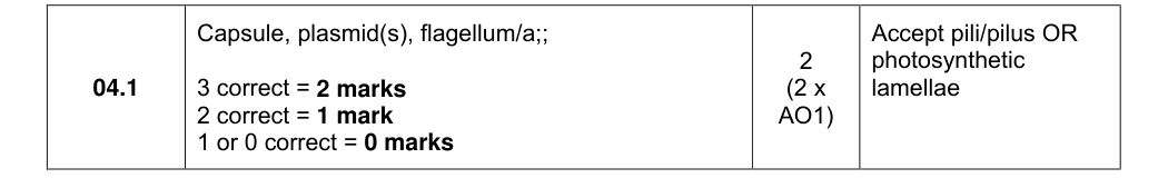 Mark scheme for 2025 A-Level Paper 1 Q4.1 (2 marks)