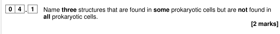 Question from 2025 A-Level Paper 1 Q4.1 (2 marks)