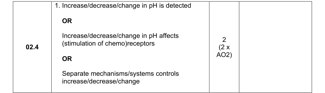 Mark scheme for 2025 A-Level Paper 2 Q2.4 (2 marks)