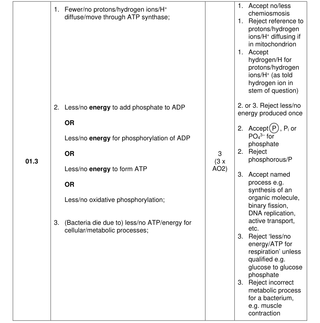 Mark scheme for 2025 A-Level Paper 3 Q1.3 (3 marks)