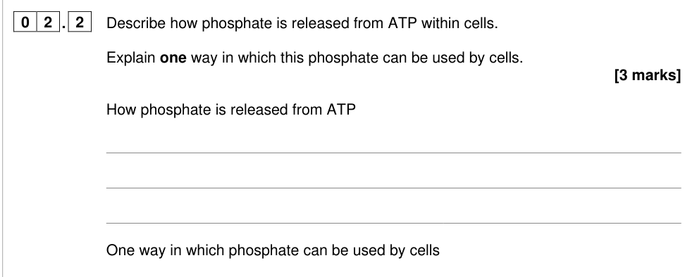 Question from 2025 As Paper 1 Q2.2 (3 marks)