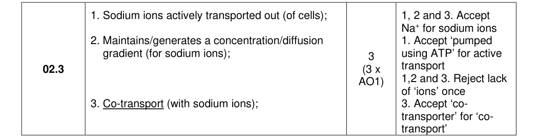 Mark scheme for 2025 As Paper 1 Q2.3 (3 marks)