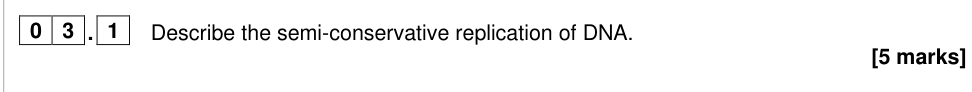 Question from 2025 As Paper 1 Q3.1 (5 marks)