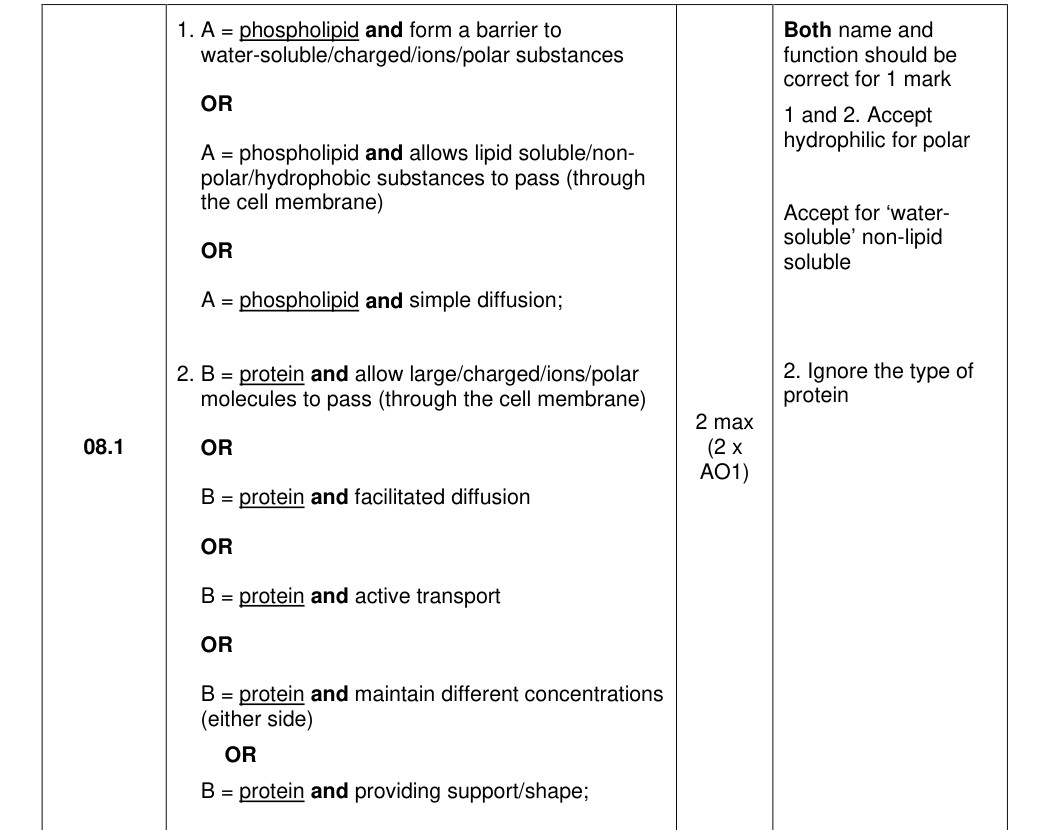 Mark scheme for 2025 As Paper 1 Q8.1 (2 marks)