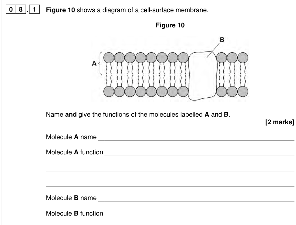 Question from 2025 As Paper 1 Q8.1 (2 marks)
