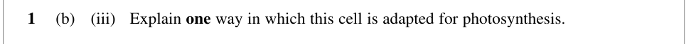 Question from January 2010 As Unit 2 Q1(b)(iii) (1 marks)