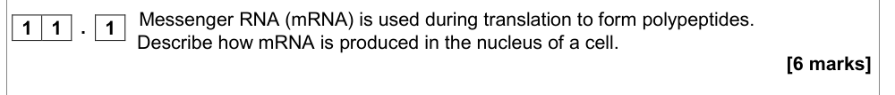 Question from Specimen A-level Paper 1 Q11.1 (6 marks)