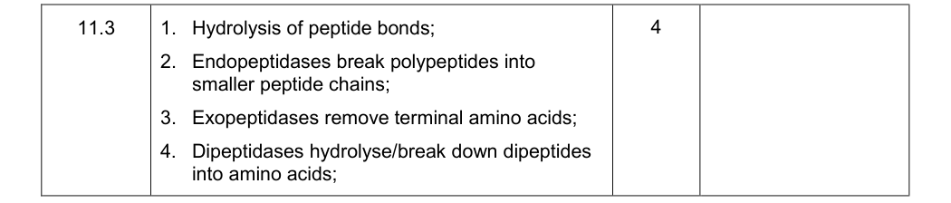 Mark scheme for Specimen A-Level Paper 1 Q11.3 (4 marks)