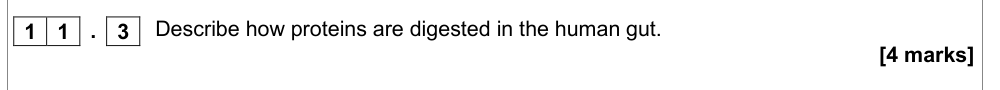 Question from Specimen A-Level Paper 1 Q11.3 (4 marks)