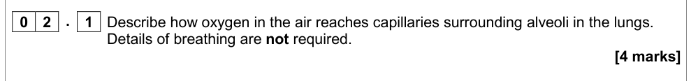 Question from Specimen A-Level Paper 1 Q2.1 (4 marks)
