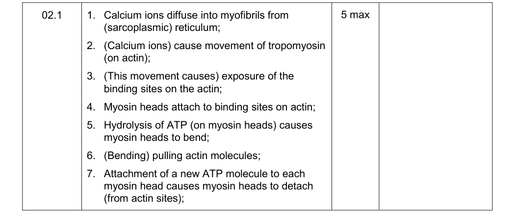 Mark scheme for Specimen A-Level Paper 2 Q2.1 (5 marks)