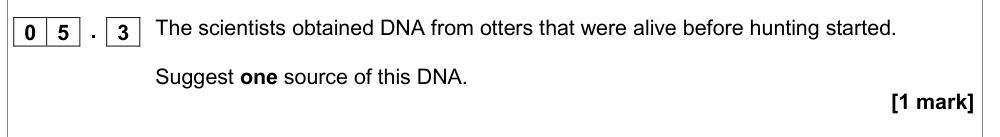 Question from Specimen As Paper 1 Q5.3 (1 marks)