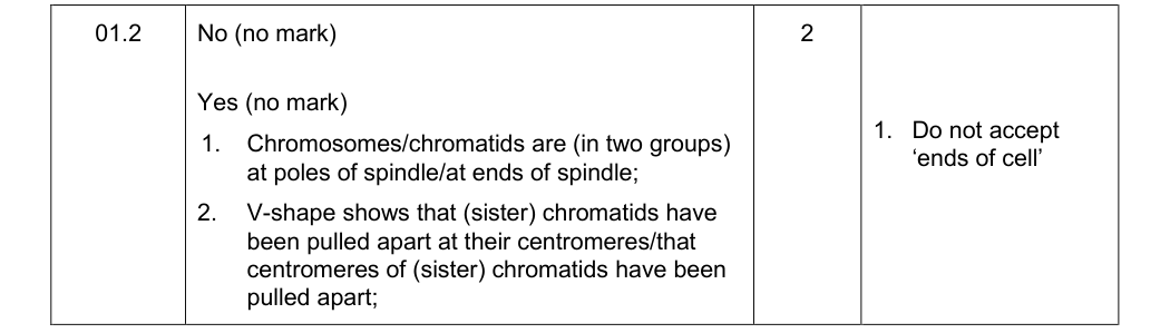 Mark scheme for Specimen As Paper 2 Q1.2 (2 marks)