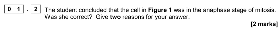 Question from Specimen As Paper 2 Q1.2 (2 marks)